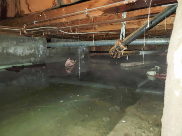 Best Storm and Flood Water Damage Restoration in Morristown, TN